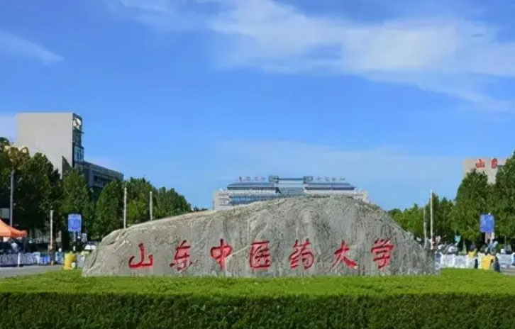 山东中医药大学